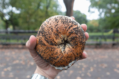 New York City Bagel Tour + Bagel-Making Experience image