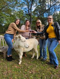 The Sassy Ass: Donkey Farm Bash for Bachelorettes & Birthdays image 8