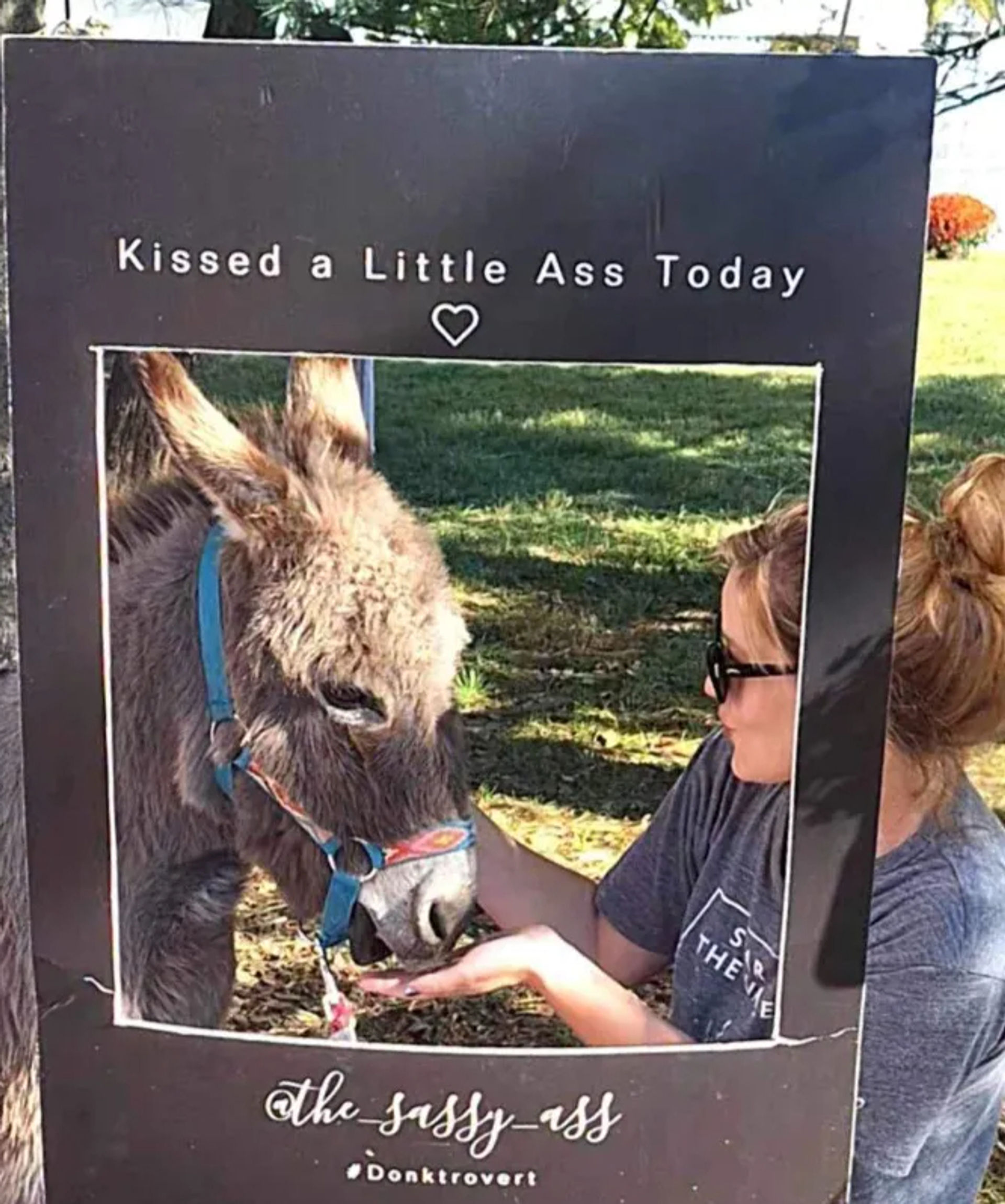 The Sassy Ass: Donkey Farm Bash for Bachelorettes & Birthdays image 2