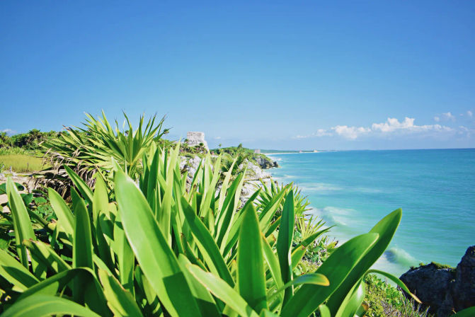 Ruins + Reels: Private Guide of Tulum Ruins & Cenote Taak Bi ha image 12