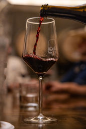 Wine, Whiskey & Beer Tour by 830 Elevated image 4