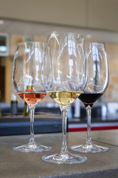 Wine, Whiskey & Beer Tour by 830 Elevated image 5