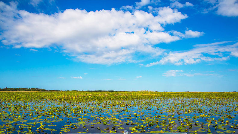 Everglades Safari Express Tour from Miami with Airboat Ride image 9