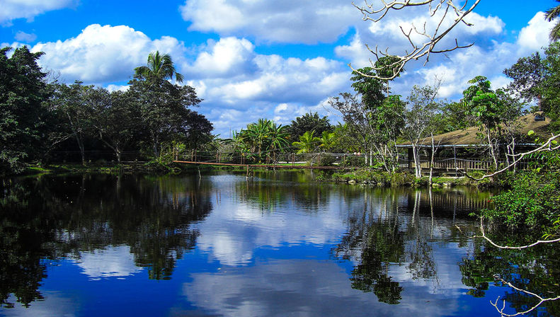 Everglades Safari Express Tour from Miami with Airboat Ride image 3