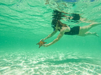 3-Hour Private Catamaran Cruise: Snorkeling, Beach, BBQ & Drinks Included image 3
