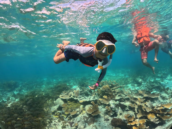 3-Hour Private Catamaran Cruise: Snorkeling, Beach, BBQ & Drinks Included image 5