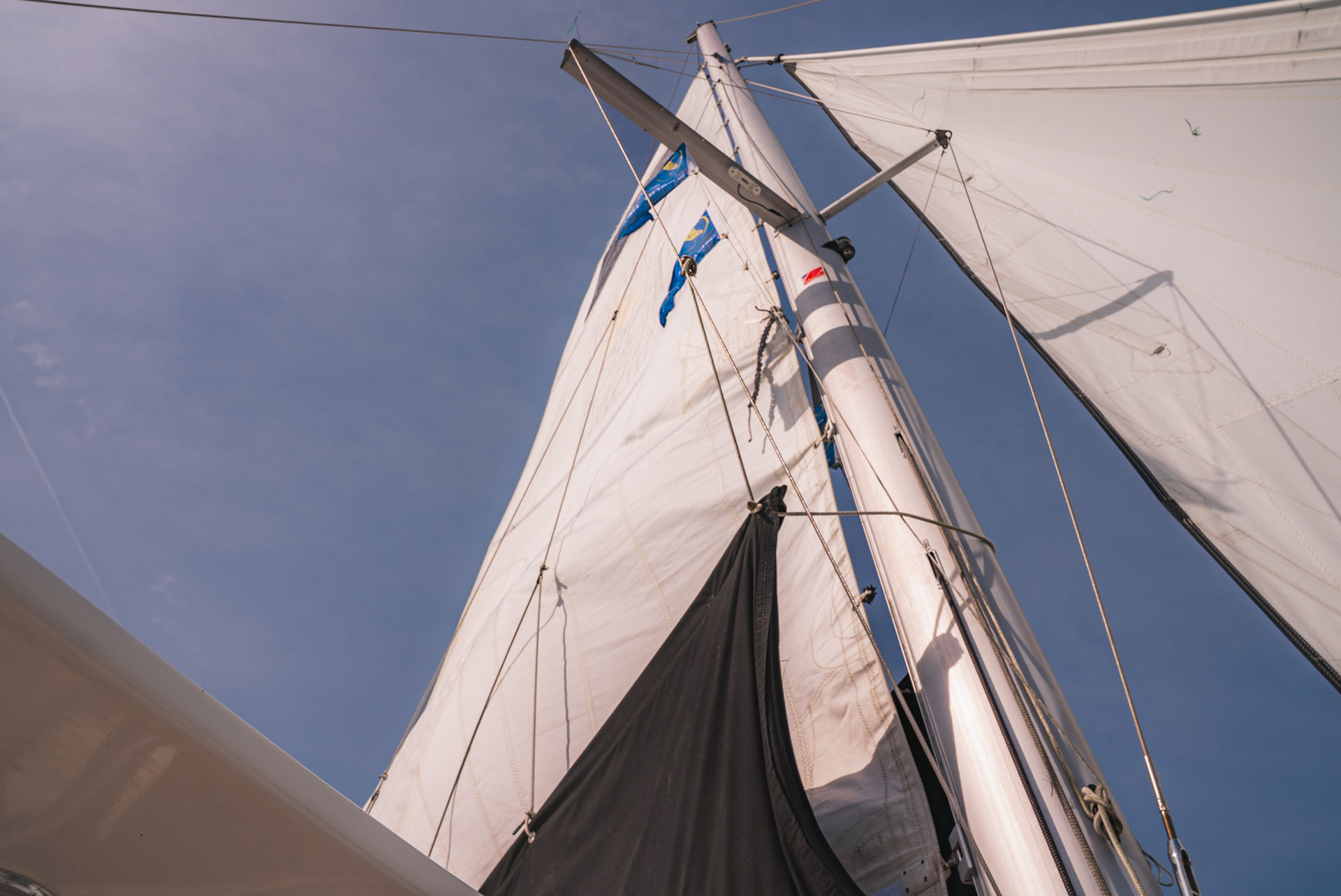 Rosé Private Sunset Sailing Charter (Up to 24 Guests) image 2