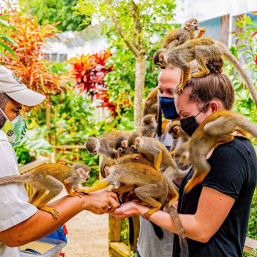 Triple Jungle Adventure in Punta Cana image 3