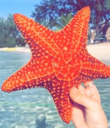 Bahamas Fun Charters: Choose Your Own Adventure in Paradise image 6