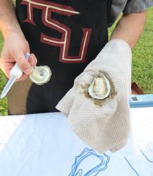 Close-up of hands shucking a fresh oyster with an oyster knife and towel, revealing a plump oyster in its shell on an outdoor table with grass background.