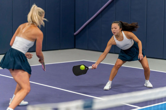 Host Your Own Pickleball Party: Intro Lesson, Games, Private Courts & Mini-Tournament image 7