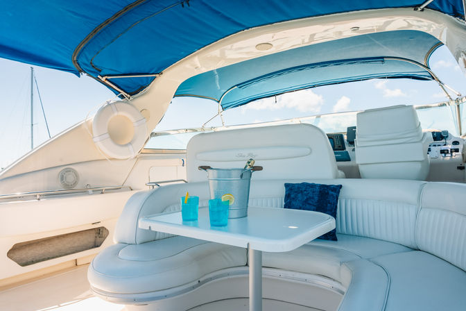 Pop the Bubbly Yacht Party on Private Sea Ray 50' Yacht with Champagne Bottle Included image 12