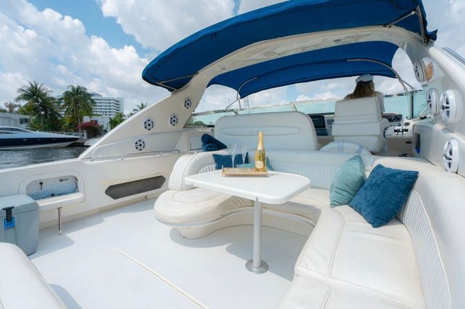 Pop the Bubbly Yacht Party on Private Sea Ray 50' Yacht image 18