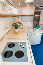 Pop the Bubbly Yacht Party on Private Sea Ray 50' Yacht with Champagne Bottle Included image 4