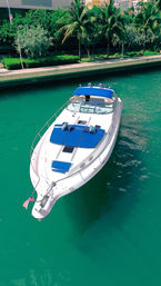 Pop the Bubbly Yacht Party on Private Sea Ray 50' Yacht with Champagne Bottle Included image 17