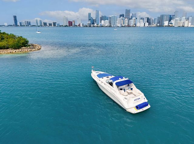 Pop the Bubbly Yacht Party on Private Sea Ray 50' Yacht image 3