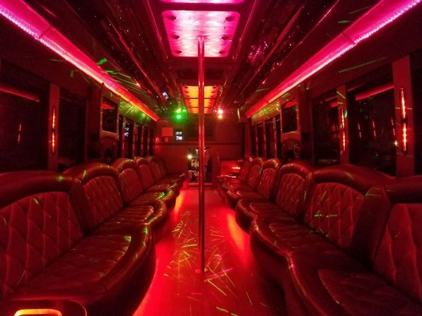 PARTY BUS VIP: Chauffeured Service / As Directed / LED Lights, Sound System, and Dancing Pole image 8