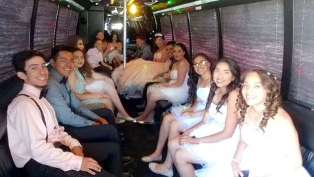 PARTY BUS VIP: Chauffeured Service / As Directed / LED Lights, Sound System, and Dancing Pole image 10
