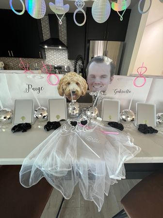 Unforgettable Insta-Worthy Party Decorating Packages image 28