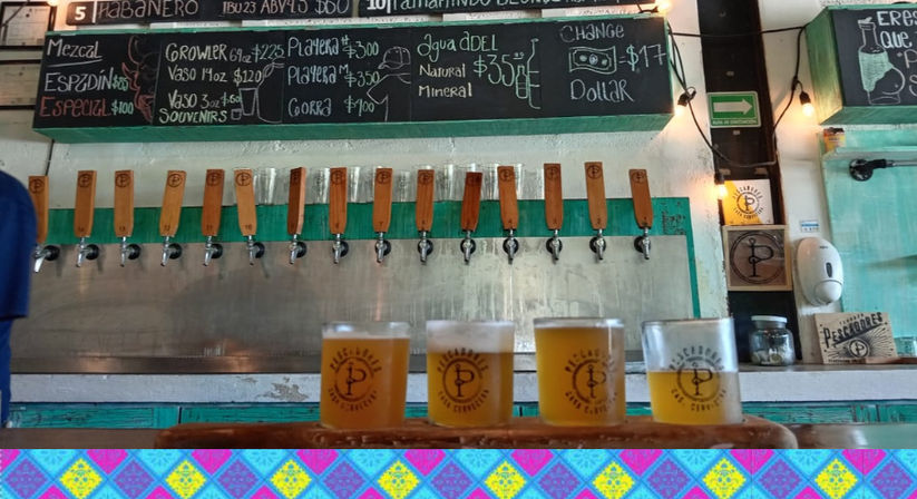 Brew Hop Cancun: Craft Beer Tour & Tasting Experience image 8
