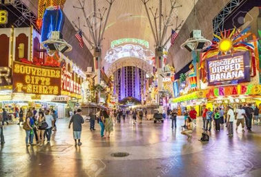 Elite Las Vegas Guided Tours: Discover Another Side of Sin City image 15