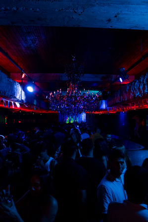 Turn Up at The Reserve: LA's Hottest Nightlife Spot image 11