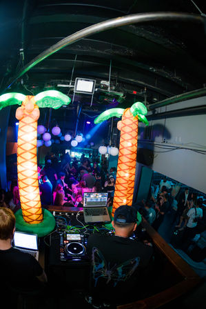 Turn Up at The Reserve: LA's Hottest Nightlife Spot image 5