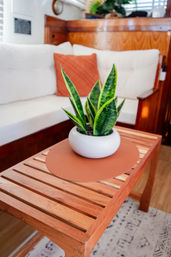 Set Sail with Sail Jax Charters: The Ultimate Sailing Experience!  image 22
