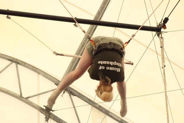 Exhilarating Private Flying Trapeze Party image 5