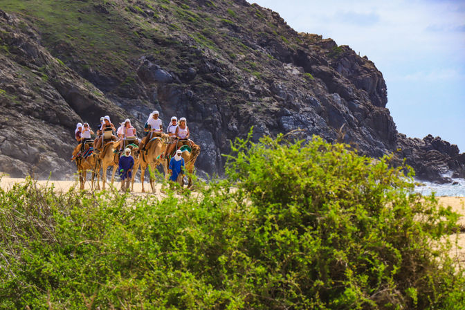 Combo ATV, Camel Ride, Tequila Tasting & Mexican Buffet Lunch image 16