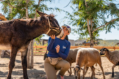 Combo ATV, Camel Ride, Tequila Tasting & Mexican Buffet Lunch image 24