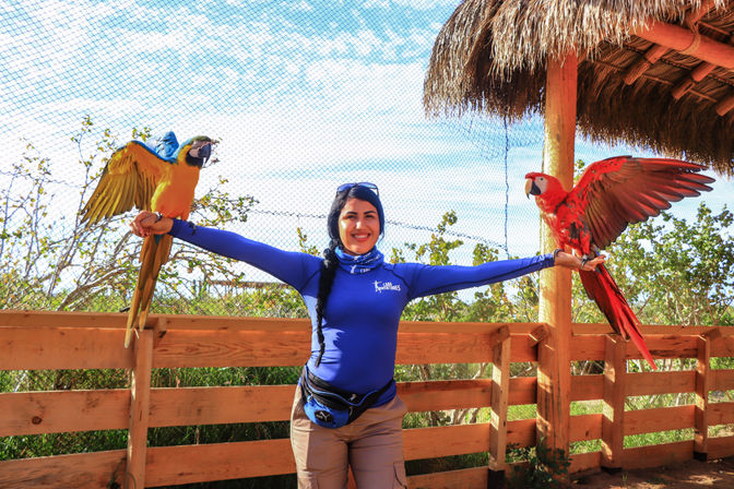 Combo ATV, Camel Ride, Tequila Tasting & Mexican Buffet Lunch image 11