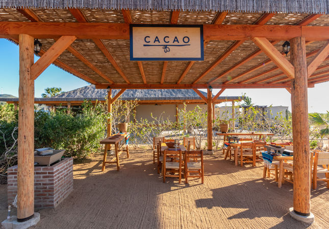 Combo ATV, Camel Ride, Tequila Tasting & Mexican Buffet Lunch image 28