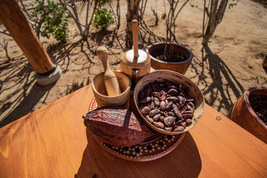 Combo ATV, Camel Ride, Tequila Tasting & Mexican Buffet Lunch image 21