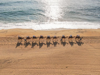 Combo ATV, Camel Ride, Tequila Tasting & Mexican Buffet Lunch image 20