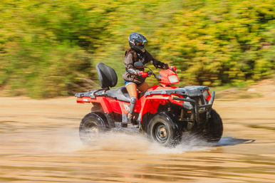 Combo ATV, Camel Ride, Tequila Tasting & Mexican Buffet Lunch image 4