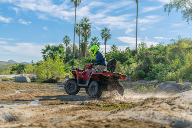 Combo ATV, Camel Ride, Tequila Tasting & Mexican Buffet Lunch image 19