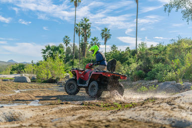 Combo ATV, Camel Ride, Tequila Tasting & Mexican Buffet Lunch image 17