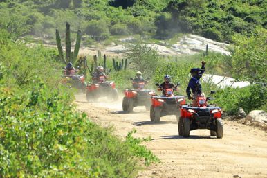 Combo ATV, Camel Ride, Tequila Tasting & Mexican Buffet Lunch image 6