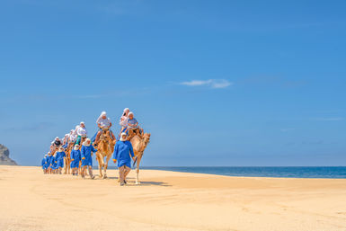 Combo ATV, Camel Ride, Tequila Tasting & Mexican Buffet Lunch image 23