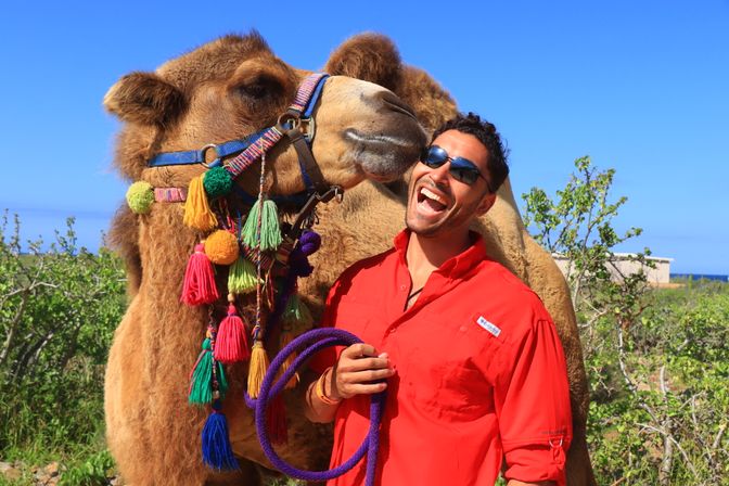 Combo ATV, Camel Ride, Tequila Tasting & Mexican Buffet Lunch image 13