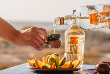 Combo ATV, Camel Ride, Tequila Tasting & Mexican Buffet Lunch image 26