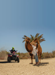 Combo ATV, Camel Ride, Tequila Tasting & Mexican Buffet Lunch image 13