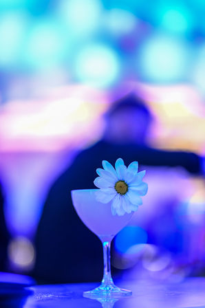 Gatsby's Cocktail Lounge: One Hour Open Bar Experience image 2