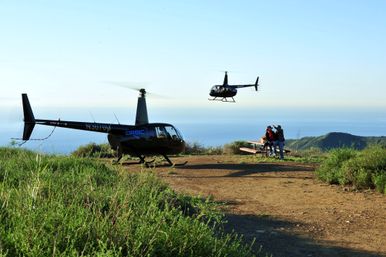 Private Helicopter Tour: Witness Iconic Landmarks with Complimentary Inflight Champagne image