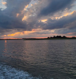 Sunset Dolphin Eco Tour Cruise (BYOB) image 10