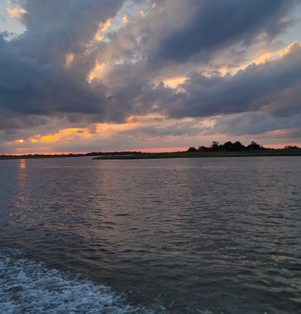 Sunset Dolphin Eco Tour Cruise (BYOB) image 10
