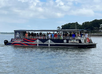Sunset Dolphin Eco Tour Cruise (BYOB) image