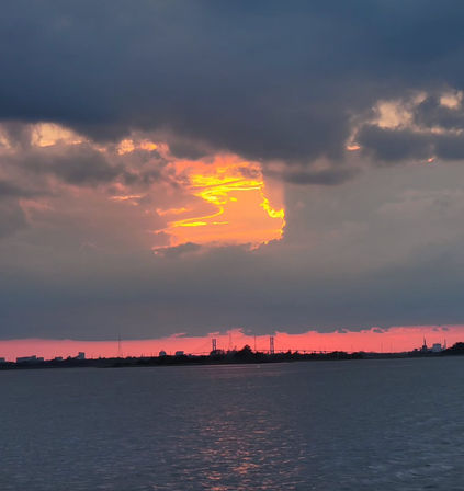 Sunset Dolphin Eco Tour Cruise (BYOB) image 9