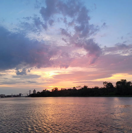 Sunset Dolphin Eco Tour Cruise (BYOB) image 6